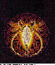 CLH-010C.BMP