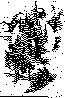 SEF-045B.BMP