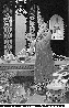 SEF-016G.BMP