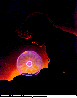 MDI-051C.BMP