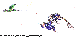 IGN-013C.BMP