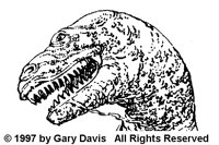 GDV589B.BMP