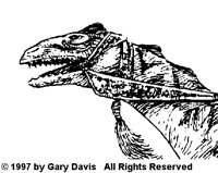 GDV583B.BMP