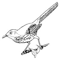 147.JPG