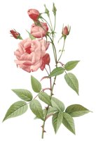 135.JPG