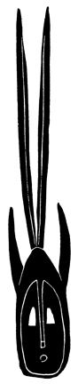236.JPG