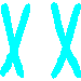 LWCyan.gif