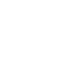 LVWhite.GIF