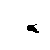 MRBlack.gif
