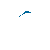 MCTeal.GIF
