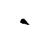 LXBlack.gif