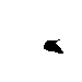 LRBlack.gif
