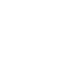LVWhite.GIF