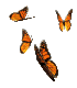 groupCLR.gif