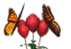flowersWHT.gif