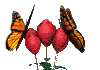 flowersCLR.gif