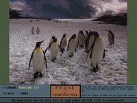 PENGUIN1.GIF