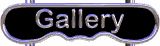 gallery_wht.gif