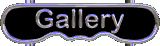 gallery_clr.gif
