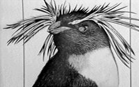 PENGUIN2.GIF