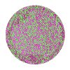 fuzzy button.gif