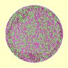 fuzzy button-transp.gif