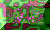 ZIP.GIF