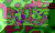 WWW.GIF