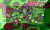 TEMP.GIF