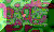 PC.GIF