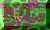 NEWS.GIF
