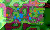 NEW.GIF