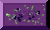 NET.GIF