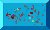 HOST.GIF