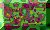 FRWD.GIF