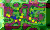 EXIT.GIF