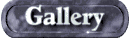 gallery_wte.gif