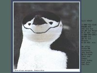 PENVF.GIF