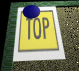 pinned-motion1-b-top.gif