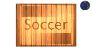 shutters-soccer-motion1-w.gif