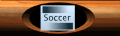 spin-soccer-motion1-b.gif