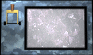 lever-news-motion1-black.gif