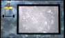 lever-info-motion1-black.gif