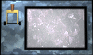 lever-index-motion1-black.gif