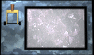 lever-hot-motion1-black.gif