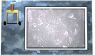 lever-free-motion1-white.gif