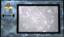 lever-free-motion1-black.gif
