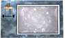 lever-exit-motion1-white.gif