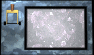 lever-exit-motion1-black.gif