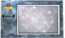 lever-email-motion1-white.gif